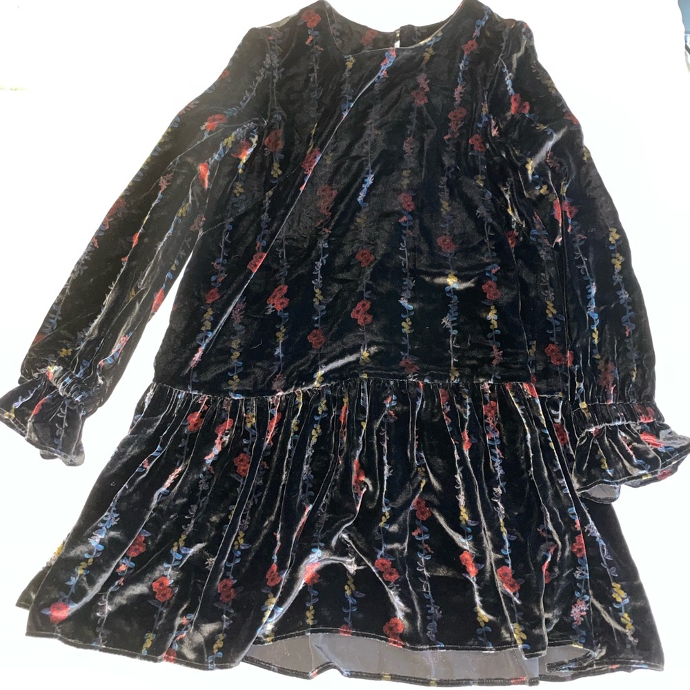Milly Quinn Velvet Floral Dress